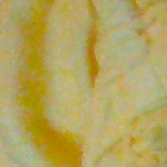 Brand New Cloth & Stone Short-Sleeve Ruffle-Neck Top - Picture 7 of 8